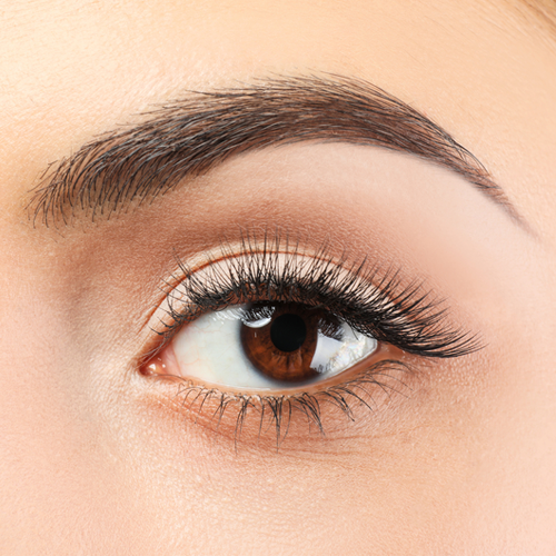 LASHES